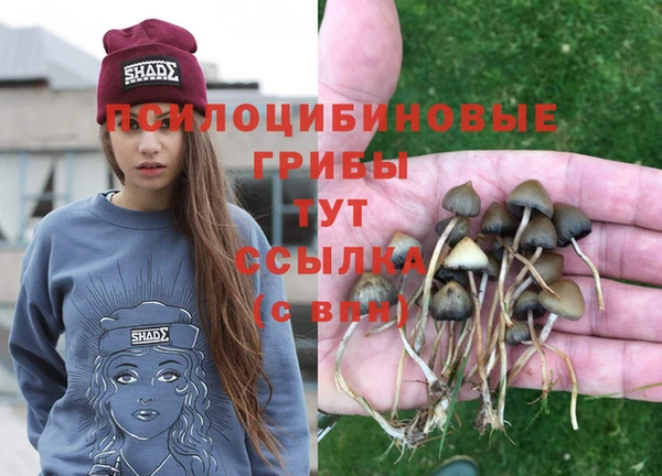 метамфетамин Майский