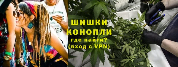 молекула духа Магас