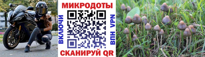 Купить где  Зерноград  Галлюциногенные грибы GOLDEN TEACHER 
